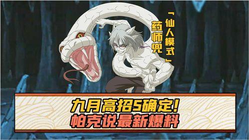 五月高招s官方爆料最新,热门专业、录取政策全解析”