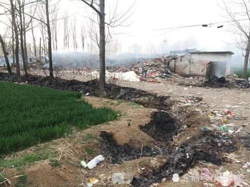 桐寨铺最新爆料,揭秘神秘事件背后的真相